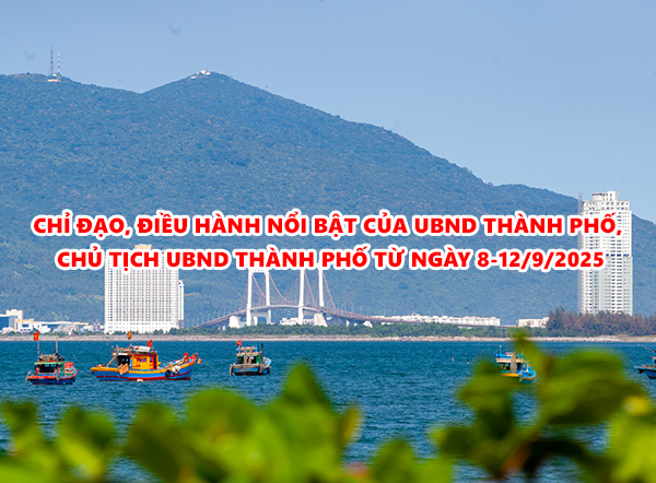 Video: Chỉ đạo, điều hành nổi bật của UBND thành phố, Chủ tịch UBND thành phố từ ngày 8-12/9/2025