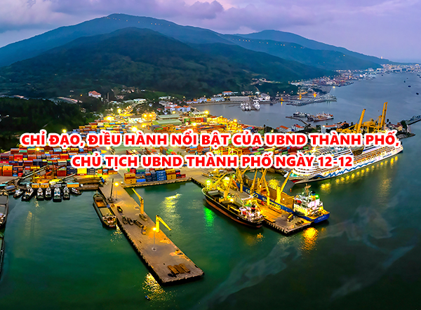 Video: Chỉ đạo, điều hành nổi bật của UBND thành phố, Chủ tịch UBND thành phố ngày 12-12