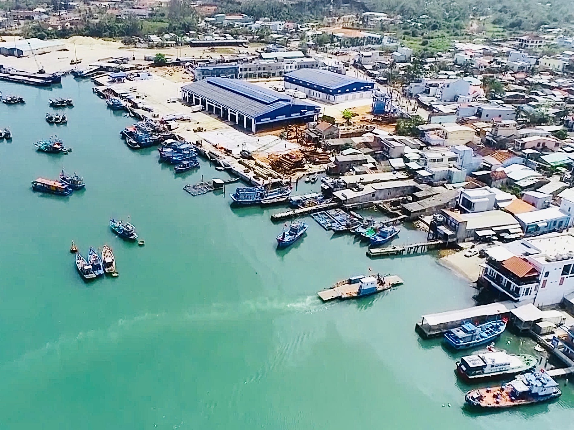 Video: Nỗ lực hướng đến nghề cá bền vững